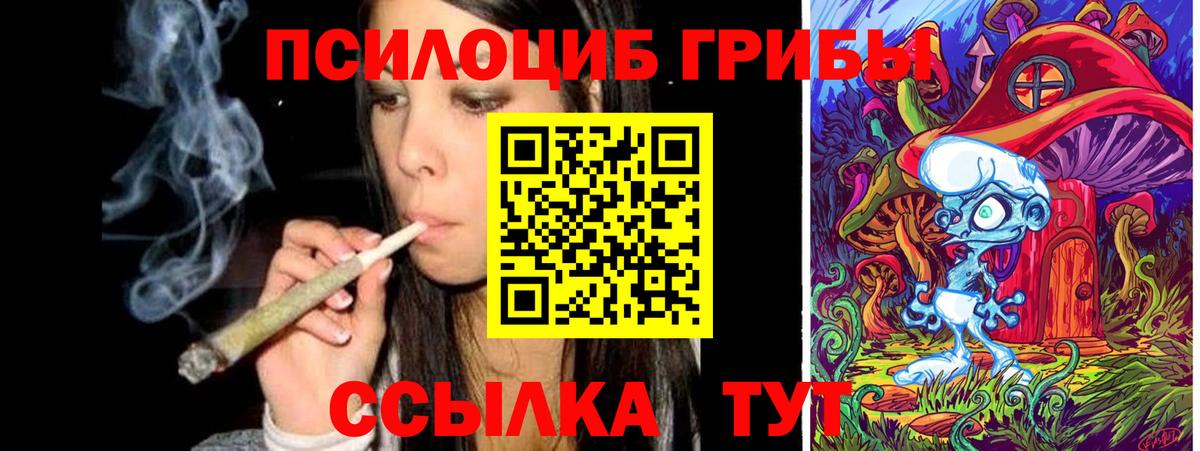 купить наркотик  Галлюциногенные грибы MAGIC MUSHROOMS  Похвистнево  Вход с VPN  Псилоцибиновые грибы мухоморы 