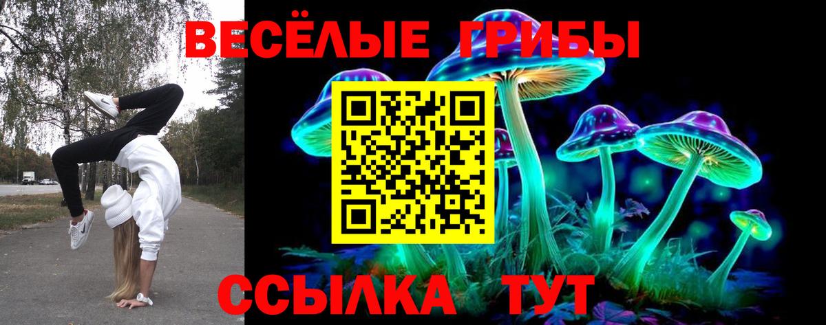 Псилоцибиновые грибы мухоморы Похвистнево